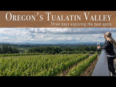 Video: 3 Destinasi Anggur Yang Perlu Anda Lawati Di Lembah Willamette Oregon