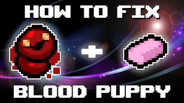 How to Tame Blood Puppy PERMANENTLY - The Binding of Isaac Repentance