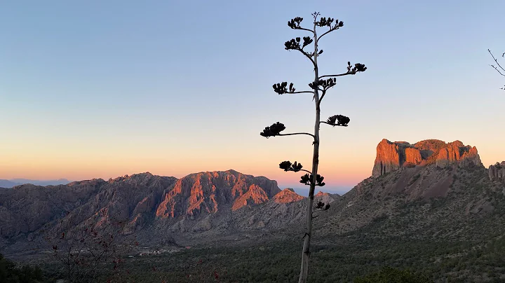 Hiking up to Emory peak at big bend national park