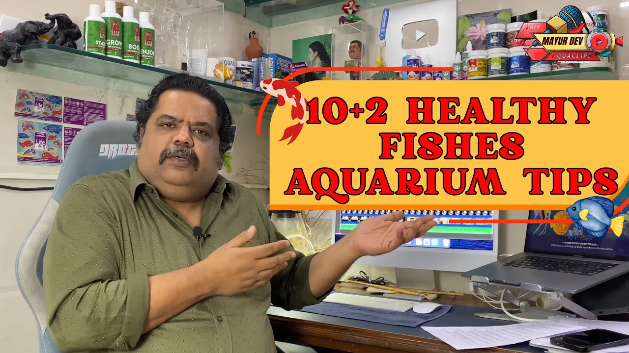 10+2 Healthy Fish tips for Indian Aquariums 🐠 | Beginner Friendly & Beautiful Choices!