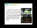 Why Cultivating Medical Marijuana Aquaponics Is Much Better Than Hydroponic Systems