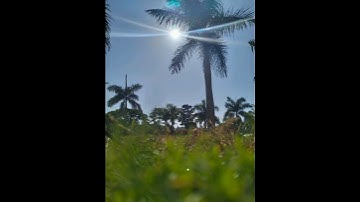 سورة البقرة 33