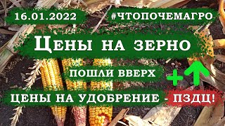 Цены на зерно и удобрение 16.01.2022 #ЧТОПОЧЕМАГРО