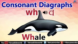 Learn English ~ Consonant Diagraphs - wh  | English Grammar For Kids