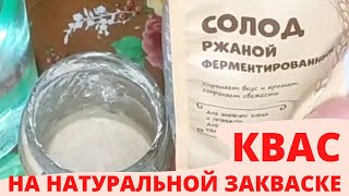 Квас Домашний На Натуральной Закваске | Кипятить Воду Или Нет | Эксперимент