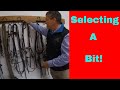 How bits work and how to select the best bit for your horse.