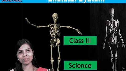 Class 3 and 4 | Skeletal System Part I | Parts of Skeletal System | By Mrs. Deepali Mule