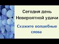 Сегодня день невероятной удачи. Скажите волшебные слова.