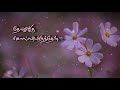 Enge enathu kavithai| Paaraiyil seithathu en manam endru| ARR songs whatsapp lyric video tamil