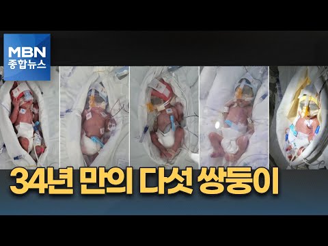 [픽뉴스] 34년 만의 다섯 쌍둥이 / 개 재산이 6,000억 / 국보 1호 아닙니다 / 코로나 1호 / 비닐봉지에 205만 원 [MBN 종합뉴스]