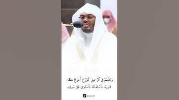 الآية التي جمعت كل حروف اللغة العربية بصوت الشيخ ياسر الدوسري