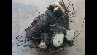 Small root ball and a lathe