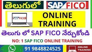 APP RUN - F110 Complete Running in SAP FICO - F110 - Automatic Payment Run in SAP FICO IN TELUGU