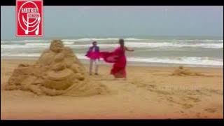 Tame Jadi gadhidia. HD || Odia film song || Sidhant & Anu || Malay Mishra || Sabitree Music