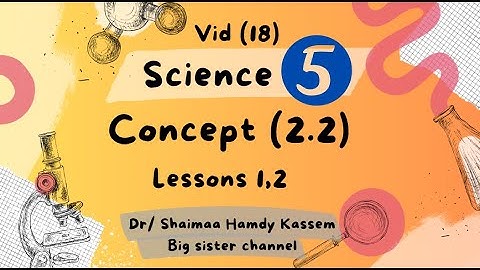 Primary 5 Science First term 2025 Concept 2.2 Lessons 1, 2 - Describing and measuring matter