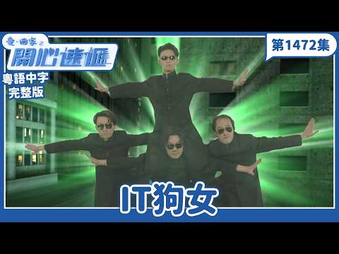 愛．回家之開心速遞｜第1472完整版｜IT狗女｜劉丹、呂慧儀、單立文、湯盈盈、滕麗名、吳偉豪、張景淳、林淑敏、許家傑｜TVB港劇｜粵語中字｜愛回家經典重溫