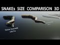 Snakes Size Comparison 3D