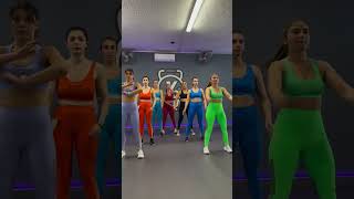 Le Ragazze Di Younique Fit House