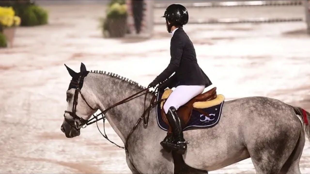 Fight Song Equestrian Music Video YouTube