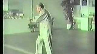 GRANDMASTER HUANG SHENG SHYAN white crane