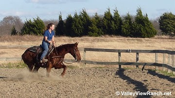 Thata Smart Cat - working the flag 1! - ValleyViewRanch.net