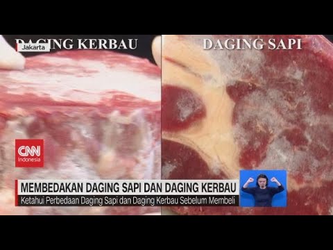 Video: Bagaimana Membedakan Daging Sapi Dari Daging Kuda?