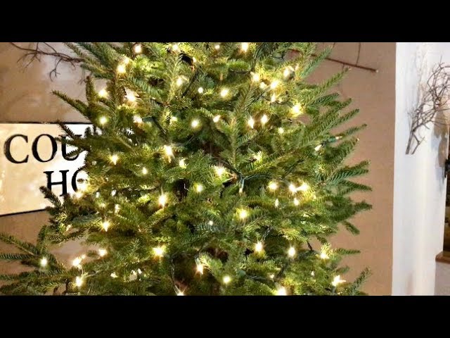 How To Put Lights On A Christmas Tree Video - Christmas Tree ...