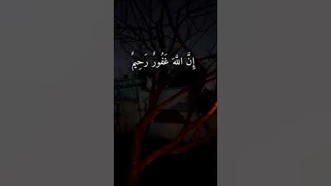 #سورة المزمل بصوت عبد الرحمن مسعد ♥️#القرآن الكريم #سورة المزمل