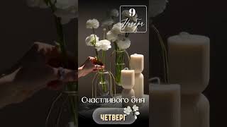 #shortvideo #video #доброеутро