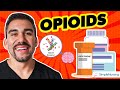 Opioid Pain Pharmacology Analgesics Nursing RN PN for NCLEX