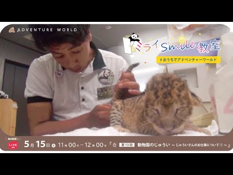 初心者のための小動物の実践外科学 : ロジックで攻める!!　動物病院　獣医 初心者のための小動物の実践外科学 : ロジックで攻める!!