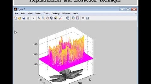 Detection On Cotton Leaves by Eigenfeature Regularization Matlab Project