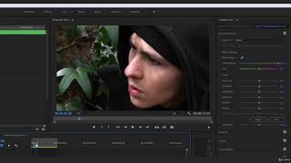 (5. Color Correction & Color Grading) 2. Color Correction With Lumetri Color