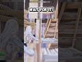 Bro got caught lacking (predicted!) #fyp #fyppage #gaming #fortnite