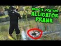 Remote Control ALLIGATOR PRANK Scares Fisherman!!!