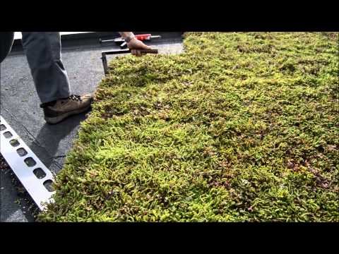 Video: Tag - Græsplæne - Installation