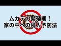 ムカデの繁殖期！ 家の中への侵入予防法とは