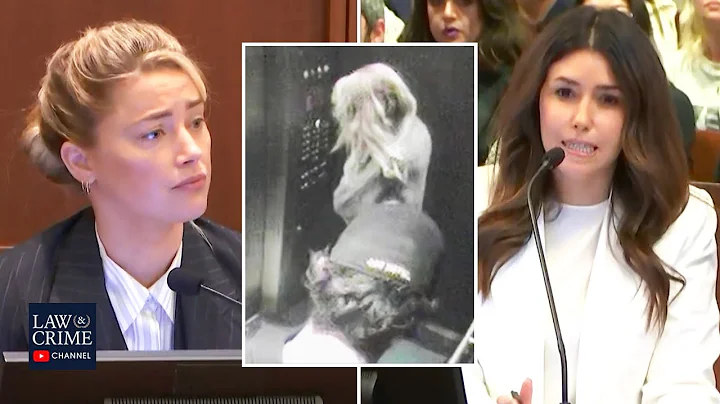 Johnny Depp's Lawyer Grills Amber Heard on Late-Night Visit from James Franco - DayDayNews