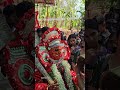 manathana bhagavathy #theyyam #kannur #traditionalart #india #southindia #theyyamsofmalabar #ritual