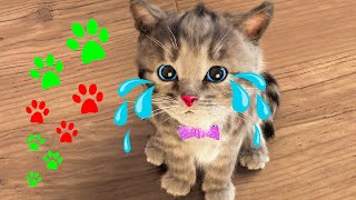 LITTLE KITTEN ADVENTURE - SPECIAL ADVENTURE JOURNEY OF ANIMAL FRIENDS AND LITTLE KITTEN - LONG VIDEO