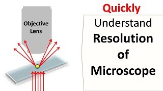 Resolution of a Microscope