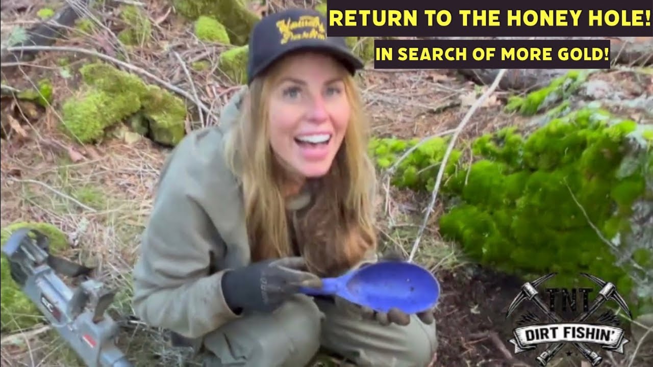 TNT return to the honey hole in search of Gold!