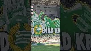 Hammarby IF⚪️🟢 vs AIK🟡⚫️ (HIF 2 - 1 AIK) #Ultras