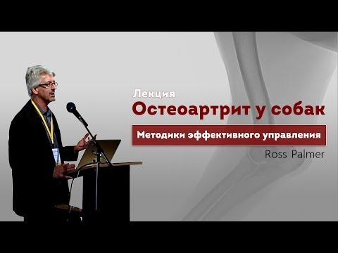 Video: 6 Osteoartriidi Vältimiseks Vajalik Toit