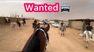 شرطي حرامي بالخيل 😂🚔🐎