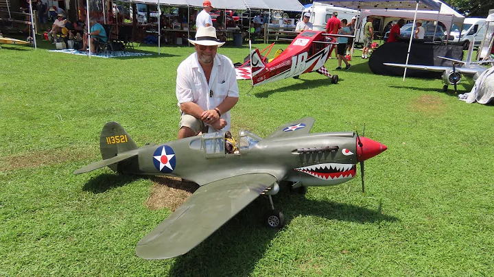 King of the Low Passes! Adam Lilley’s P-40 Warhawk at Warbirds Over Delaware 2025