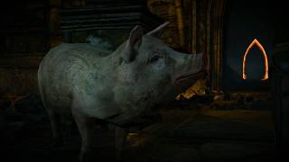 The Witcher 3 - Talking With Pigs (4K)