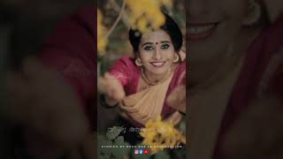 Kerala Traditional Vishu Reels Lk Fashion Stories