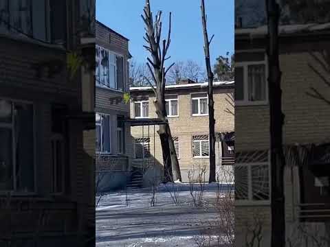 Видео: Детский сад после обстрела российскими оккупантами на Армейской. Харьков Украина 14 марта