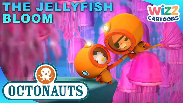 ​@Octonauts - The Jellyfish Bloom 🪸 | Series 1 | Full Episode 36 | @WizzCartoons